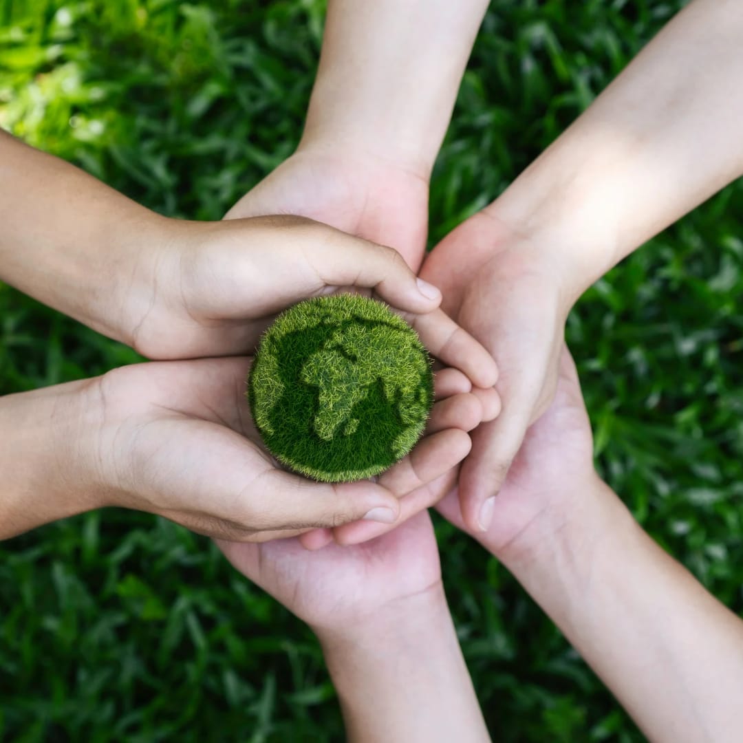Investment in Resilience